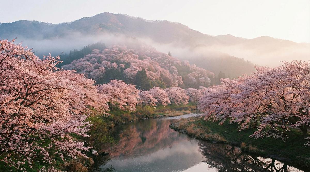 抖音风自然风光视频